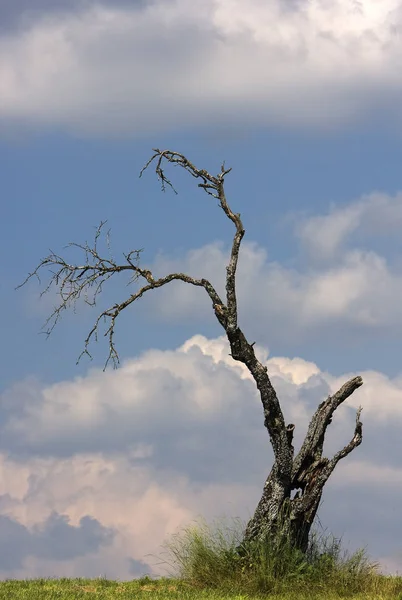 Belle Vue Sur Les Paysages Naturels — Photo