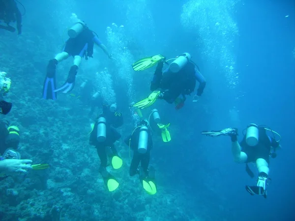 Unterwasserfoto Einer Frau Einem Korallenriff — Stockfoto