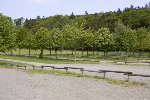 Empty Parking Lot Nature — Stock Photo, Image