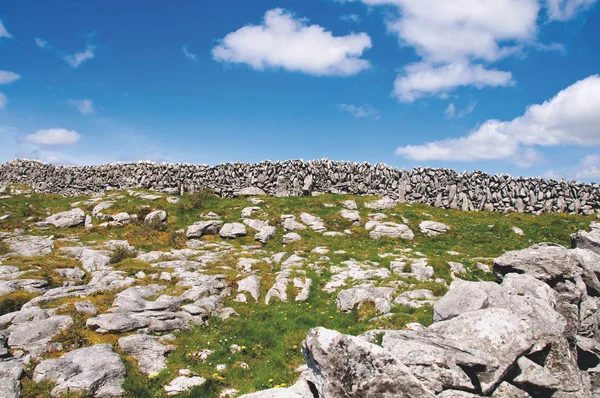 Каменные Стены Беррене Ирландии — стоковое фото