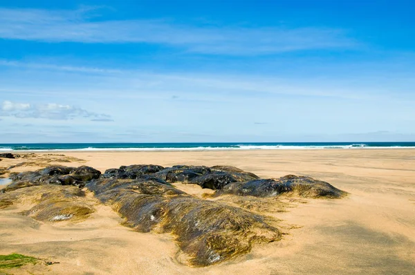 Strandon Fanore — Stock Fotó