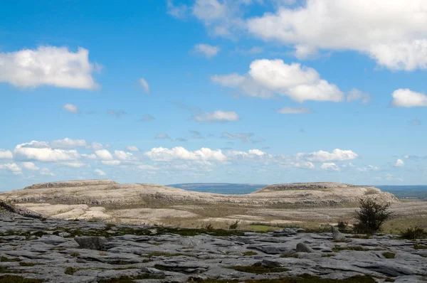 Vue Panoramique Sur Campagne Orientation Sélective — Photo