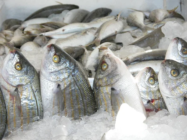 Verse Vis Zeevruchten Markt — Stockfoto