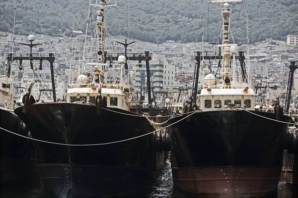 fish cutter in busan south korea