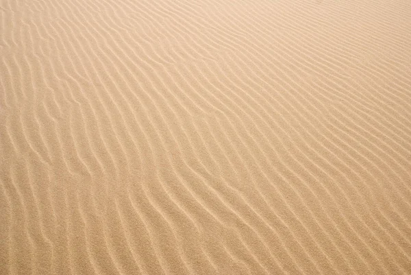 Malebný Pohled Duny Selektivní Zaměření — Stock fotografie