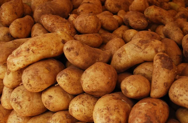 Свіжа Органічна Картопля Ринку — стокове фото