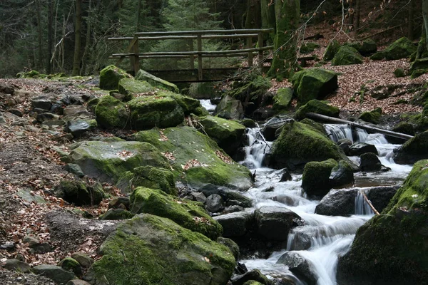 Prachtig Uitzicht Natuur Scene — Stockfoto