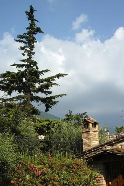 Assisi Una Città Collinare Dell Umbria Centrale — Foto Stock