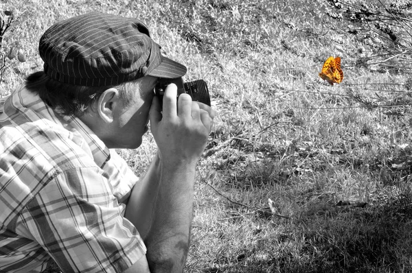 Nahaufnahme Von Wanzen Der Wilden Natur — Stockfoto