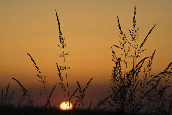 Krásný Výhled Teplý Večer — Stock fotografie