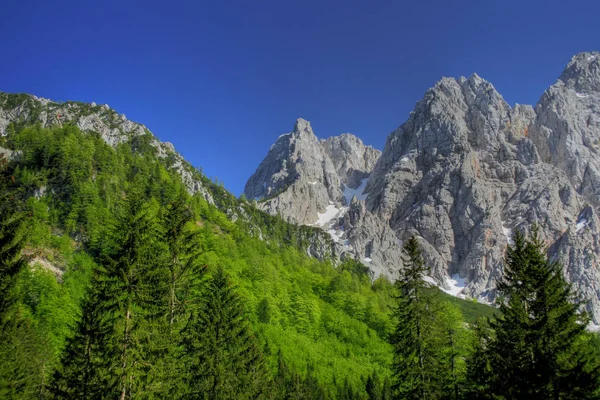 Güzel Alpler Manzarasının Manzarası — Stok fotoğraf