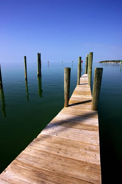 Picturesque View Nature Scene — Stock Photo, Image