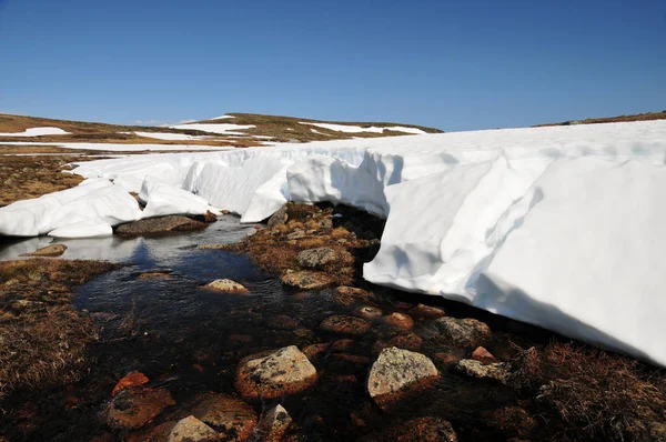 Meltwater Plateau Norway — Stock Photo, Image