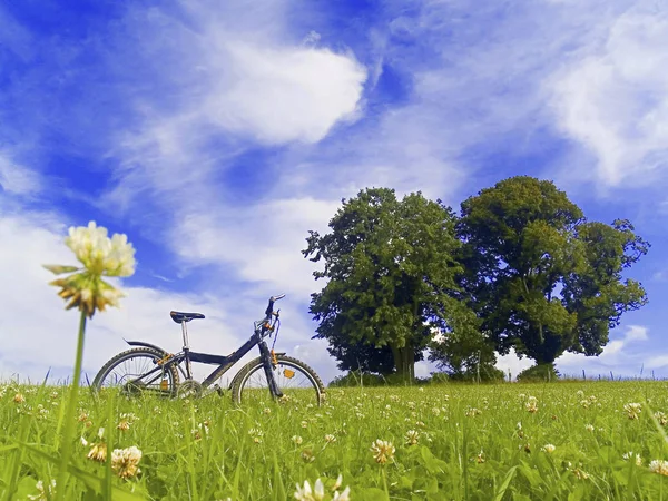 Fiets Wei Met Blauwe Lucht — Stockfoto