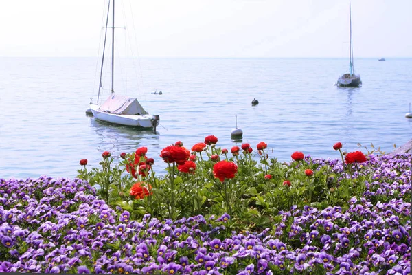 See Leman Vevey — Fotografia de Stock