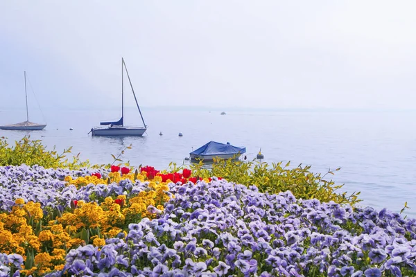 Leman Vagyok Vevey — Stock Fotó