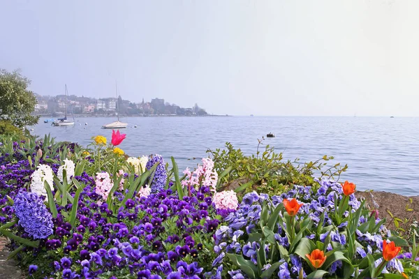 Vacker Botanisk Skott Naturliga Tapeter — Stockfoto