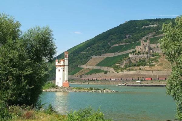 Bingen Rhein Egy Város Mainz Bingen Kerületben Rajna Vidék Pfalz — Stock Fotó