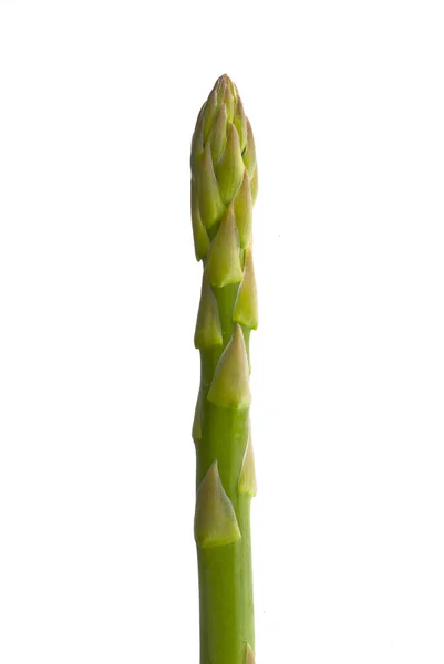 Asparagus Sticks Vegetarian Food — Stock Photo, Image