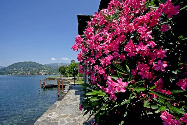 Krásný Výhled Město Kotor Montenegro — Stock fotografie