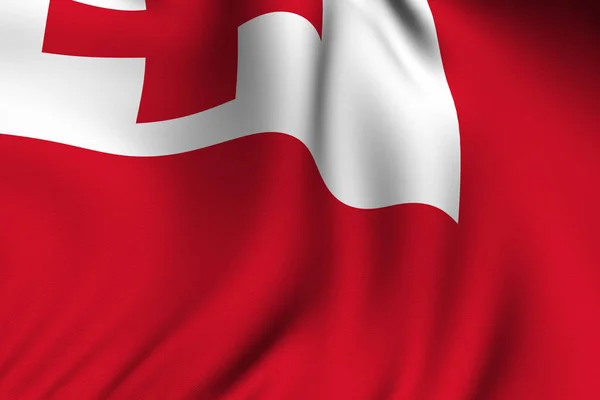 Vykreslená Vlajka Tongan Národní Vlajka — Stock fotografie