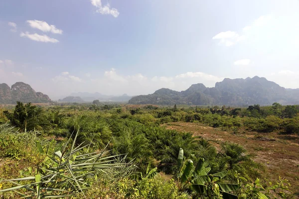 Güzel Ada Tayland — Stok fotoğraf