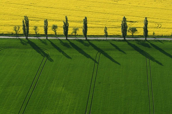 Kırsal Alanın Manzarası Seçici Odak — Stok fotoğraf