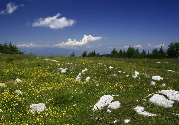 Prato Montagna Sul Hochobir — Foto Stock