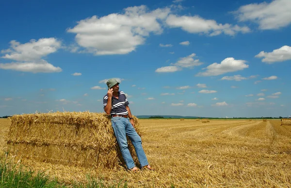 Landsliv Selektivt Fokus — Stockfoto