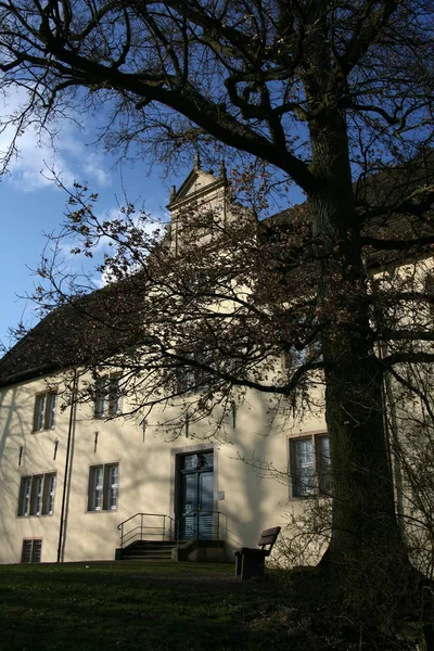 Vue Panoramique Sur Architecture Majestueuse Château Médiéval — Photo