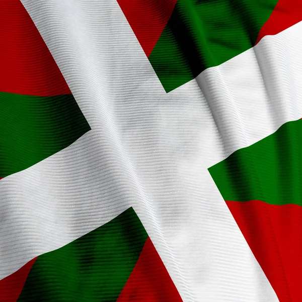 Basque Flag Closeup National Flag — 스톡 사진