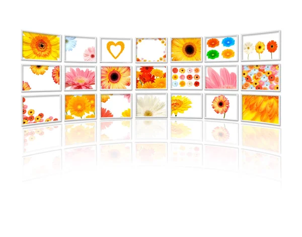 Flowers Flora Botany Concept — Stock Photo, Image