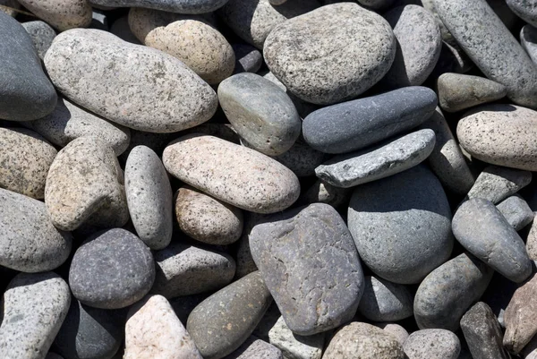 Pierres Galets Plage Rochers — Photo