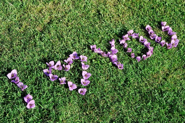 Wort Liebe Auf Das Gras Geschrieben — Stockfoto