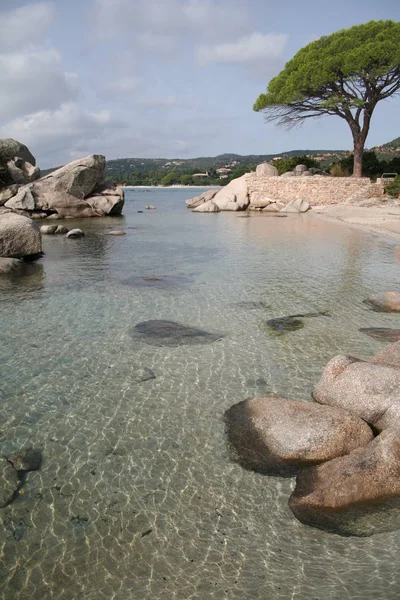 Playa Palombaggia Córcega Francia — Foto de Stock