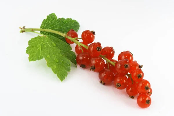 Rote Johannisbeeren Saure Früchte — Stockfoto