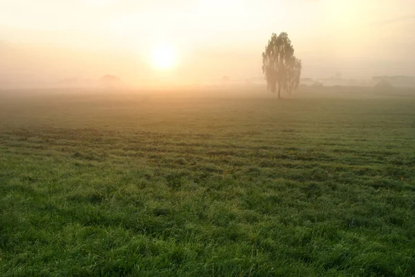 Malerischer Blick Auf Die Natur — Stockfoto