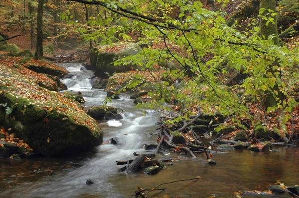 Pittoresk Uitzicht Landschap — Stockfoto