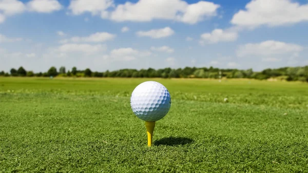 Golfbal Veldsport Spel — Stockfoto