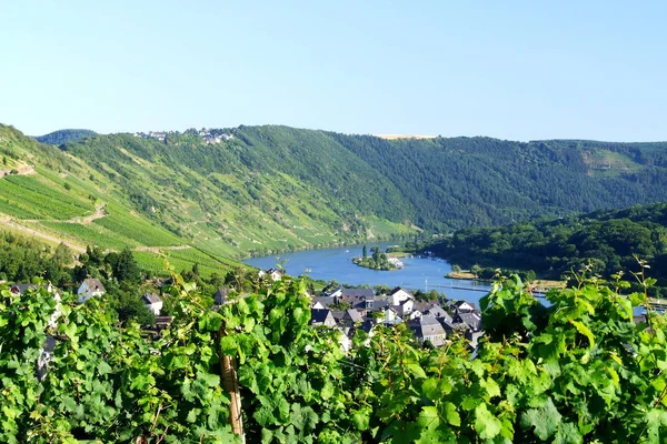 Moselle Rzeka Przepływająca Przez Francję Luksemburg Niemcy — Zdjęcie stockowe