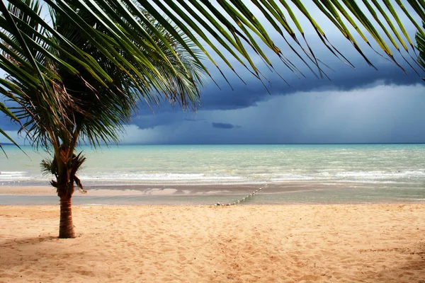 Bela Paisagem Tropical Praia — Fotografia de Stock