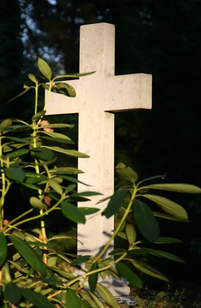 Kreuz Auf Dem Friedhof — Stockfoto