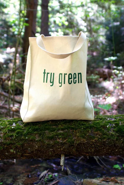 Ecologisch Freindly Shopping Bag — Stockfoto
