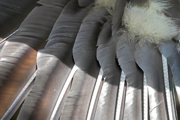 Fjädrar Andean Kondor Vingbredden Mäter Meter Han Bredvid Fågelbuketten Den — Stockfoto