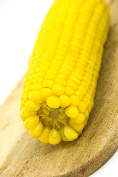 Свежая Кукуруза Солью Изолированной Белом — стоковое фото