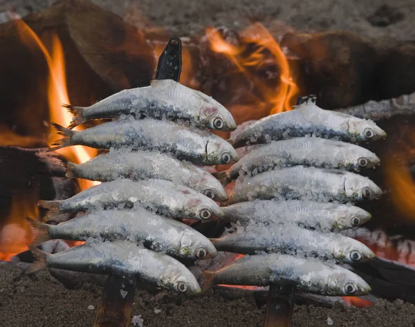 Spanyolország Skewers Vagy Espetos Szardínia Grillezés Nyílt Tűzön — Stock Fotó