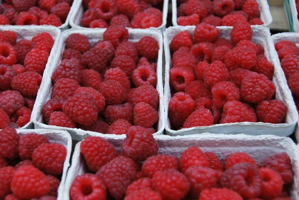 Berries Close Shot Conceito Alimentar Saudável — Fotografia de Stock