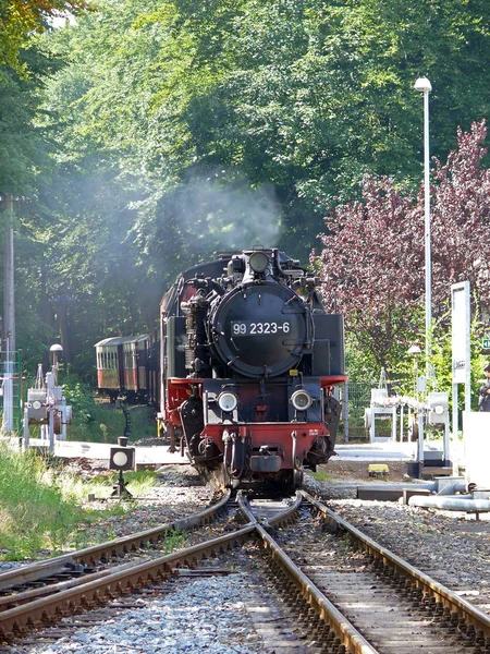 Velha Locomotiva Parque — Fotografia de Stock