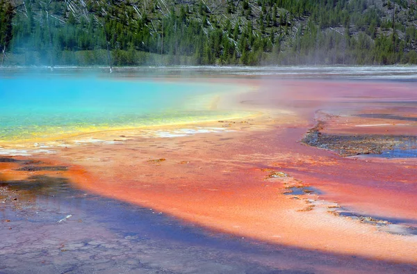Parque Nacional Yellowstone Parque Nacional Los Estados Unidos Esto Convierte — Foto de Stock