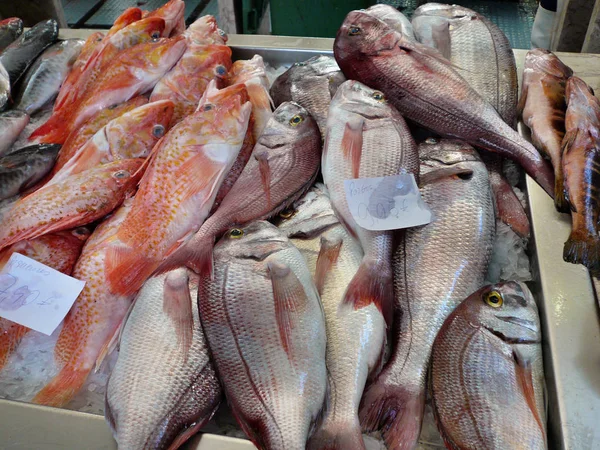 sea food, Fish Market